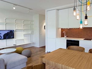 Salon z kuchnią - zdjęcie od Michał Hoffmann projektant wnętrz
