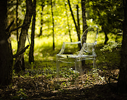 Krzesło Royal zwiedza świat :) - zdjęcie od Meble-Bocian - Homebook