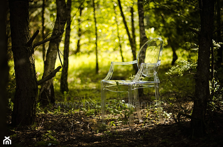 Krzesło Royal zwiedza świat :) - zdjęcie od Meble-Bocian