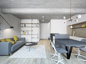 Nowa Huta_Mieszkanie Prywatne - Salon, styl minimalistyczny - zdjęcie od Motifo Architektura & Wnętrza