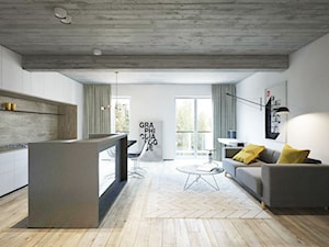Nowa Huta_Mieszkanie Prywatne - Salon, styl minimalistyczny - zdjęcie od Motifo Architektura & Wnętrza