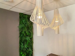 Panel z roślin stabilizowanych - zdjęcie od JUKO green design