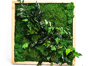 Obraz z roślin stabilizowanych - zdjęcie od JUKO green design