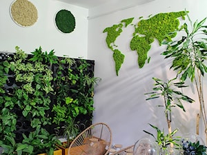 Zielona mapa świata - zdjęcie od JUKO green design