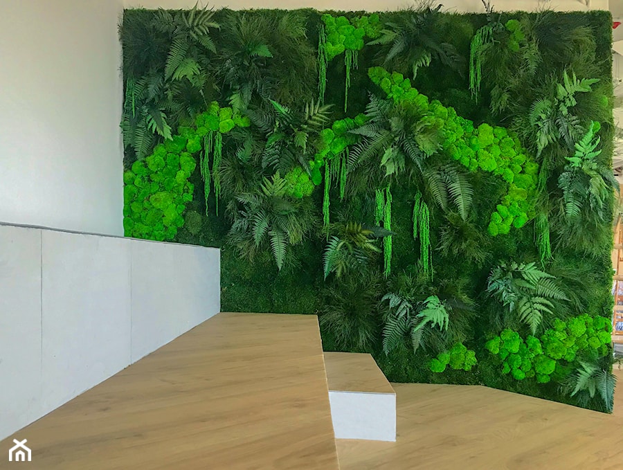 Ściana z roślin stabilizowanych - zdjęcie od JUKO green design