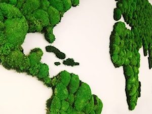 Mapa świata z mchu poduszkowego - zdjęcie od JUKO green design