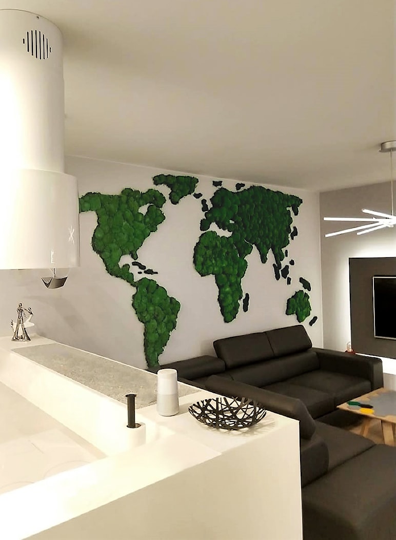 Mapa świata - zdjęcie od JUKO green design - Homebook