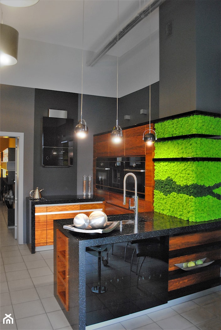 Mech w kuchni - zdjęcie od JUKO green design - Homebook