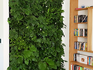 Ściana z żywych roślin - zdjęcie od JUKO green design