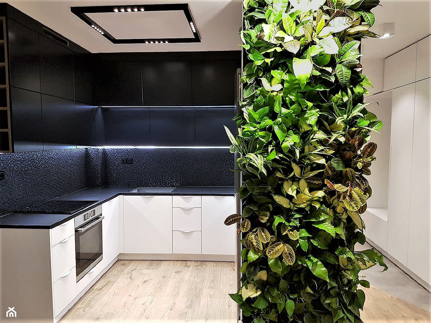 Zielona ściana z roślin w kuchni - zdjęcie od JUKO green design - Homebook