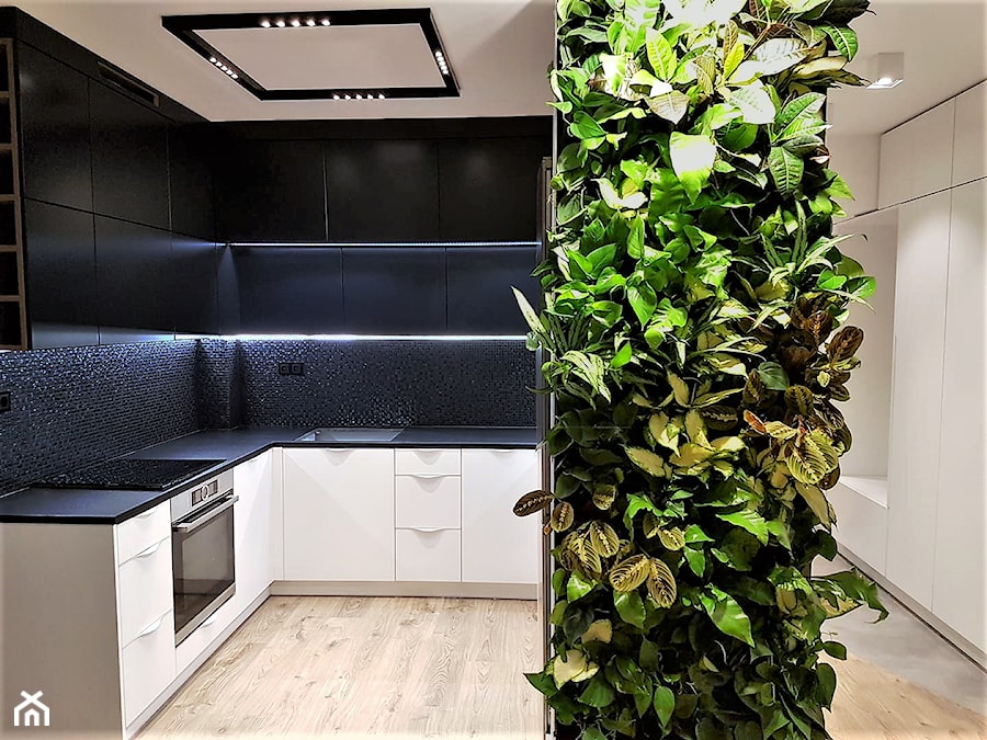 Zielona ściana z roślin w kuchni - zdjęcie od JUKO green design