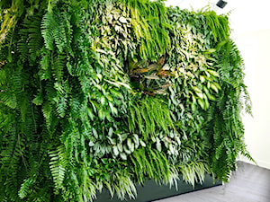 Ściana z żywych roślin - zdjęcie od JUKO green design