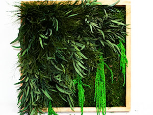 Obraz z roślin stabilizowanych - zdjęcie od JUKO green design