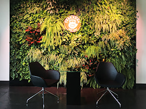 Logo na ścianie z roślin - zdjęcie od JUKO green design