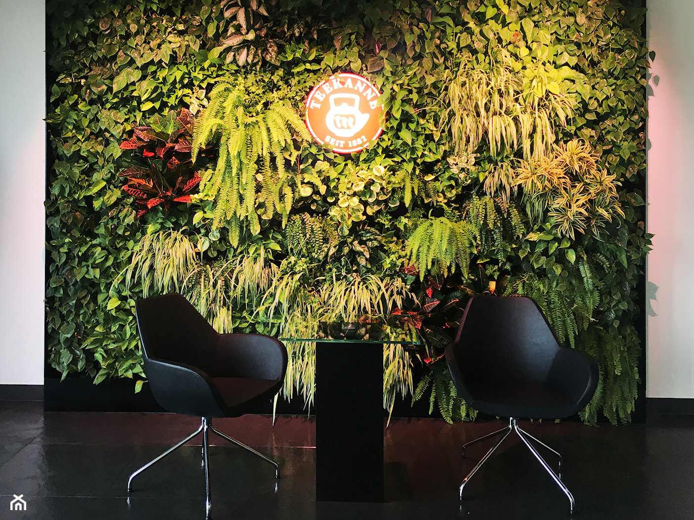 Logo na ścianie z roślin - zdjęcie od JUKO green design - Homebook