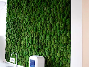 Panel z mchu poduszkowego - zdjęcie od JUKO green design