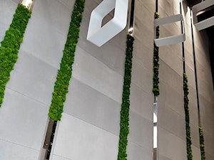 Panele z mchu dekoracyjnego - zdjęcie od JUKO green design