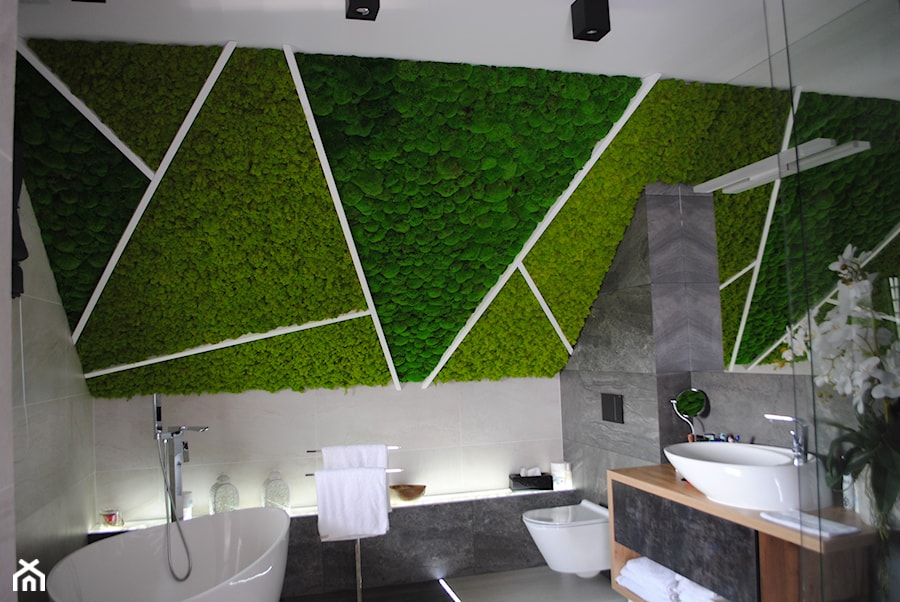 Mech poduszkowy oraz chrobotek reniferowy w łazience - zdjęcie od JUKO green design
