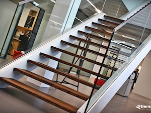 Schody metalowo-drewniane na dwóch belkach - zdjęcie od Tierspol producent schodów szklanych i całoszklanych