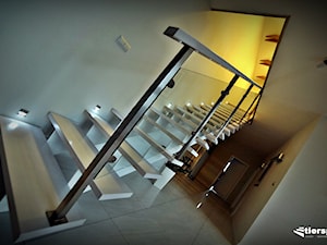 Schody do domu jednorodzinnego - zdjęcie od Tierspol producent schodów szklanych i całoszklanych