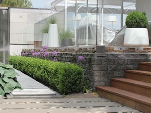 Jadar Garden - Średni z meblami ogrodowymi taras z tyłu domu - zdjęcie od Jadar