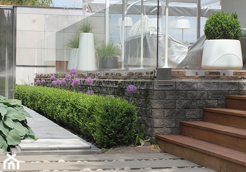 Jadar Garden - Średni z meblami ogrodowymi taras z tyłu domu - zdjęcie od Jadar