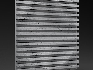 Panele 3D RAXER - Producent ZICARO - zdjęcie od ZICARO - Producent paneli ściennych 3d oraz paneli ażurowych