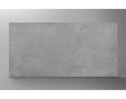 Płyta TECTRA 104 X 52 imitacja betonu - Producent ZICARO