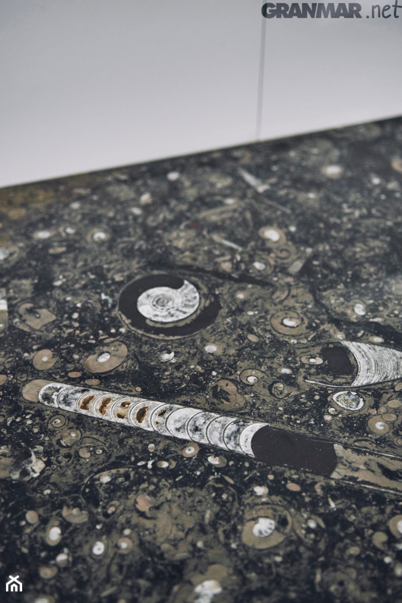 Blat łazienkowy z naturalnego marmuru Fossil Brown - zdjęcie od GRANMAR.net - Borowa Góra