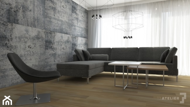 Projekt apartamentu - Skala szarości - Salon, styl nowoczesny - zdjęcie od T3 Atelier