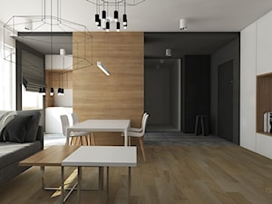 Projekt apartamentu - Skala szarości - Salon, styl nowoczesny - zdjęcie od T3 Atelier