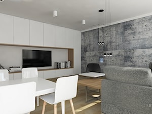 Projekt apartamentu - Skala szarości - Salon, styl nowoczesny - zdjęcie od T3 Atelier