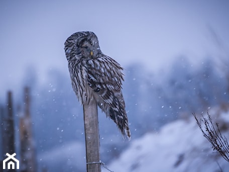 Aranżacje wnętrz - : - Glasco. Przeglądaj, dodawaj i zapisuj najlepsze zdjęcia, pomysły i inspiracje designerskie. W bazie mamy już prawie milion fotografii!