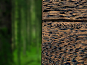 Drzwi zewnętrzne | Top WOOD 04 - zdjęcie od PARMAX - producent ekskluzywnych drewnianych drzwi zewnętrznych