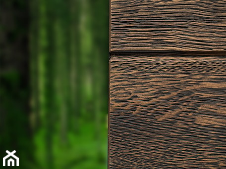 Aranżacje wnętrz - Domy: Drzwi zewnętrzne | Top WOOD 04 - PARMAX - producent ekskluzywnych drewnianych drzwi zewnętrznych. Przeglądaj, dodawaj i zapisuj najlepsze zdjęcia, pomysły i inspiracje designerskie. W bazie mamy już prawie milion fotografii!