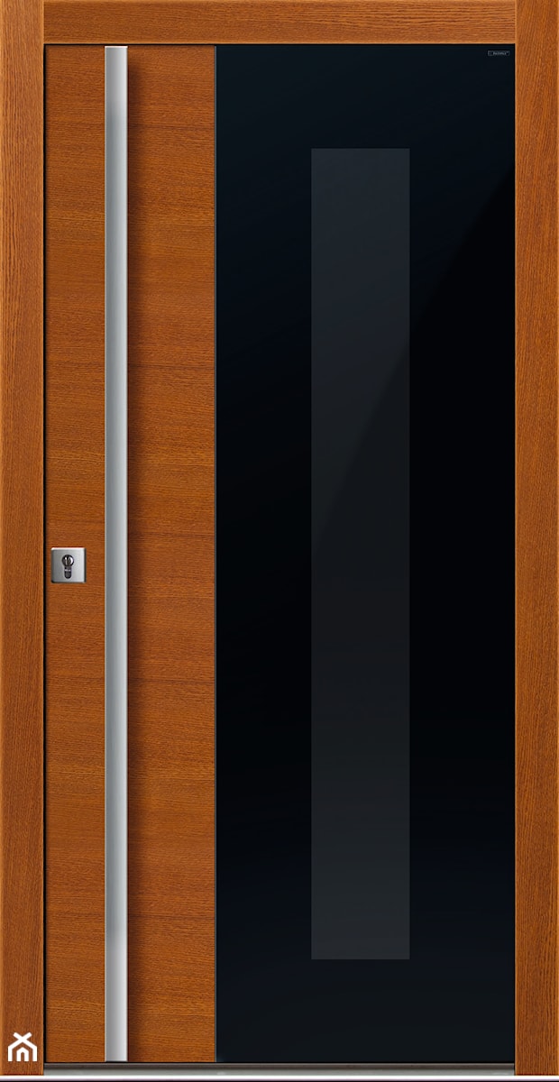 Drzwi zewnętrzne | Top GLASS 8 - zdjęcie od PARMAX - producent ekskluzywnych drewnianych drzwi zewnętrznych