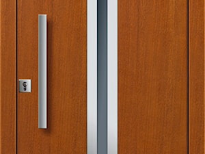 Drzwi zewnętrzne | Top INOX 9 - zdjęcie od PARMAX - producent ekskluzywnych drewnianych drzwi zewnętrznych