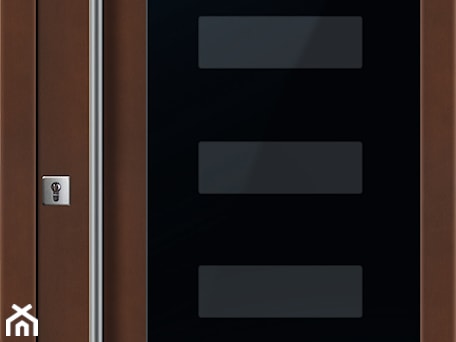 Aranżacje wnętrz - Domy: Drzwi zewnętrzne | Top GLASS 3 - PARMAX - producent ekskluzywnych drewnianych drzwi zewnętrznych. Przeglądaj, dodawaj i zapisuj najlepsze zdjęcia, pomysły i inspiracje designerskie. W bazie mamy już prawie milion fotografii!