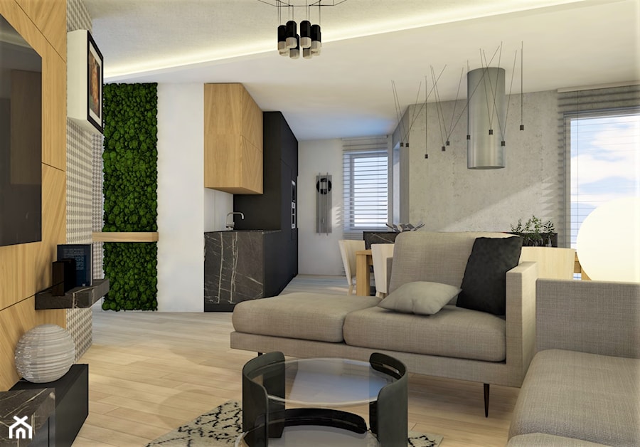 Mieszkanie w Krakowie - Salon, styl nowoczesny - zdjęcie od JUKA design Pracownia Wnętrz