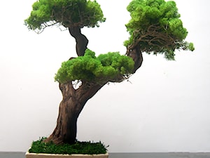 Sztuczne drzewko bonsai - zdjęcie od Ogrody Babilonu Patrycjusz Ścieszka