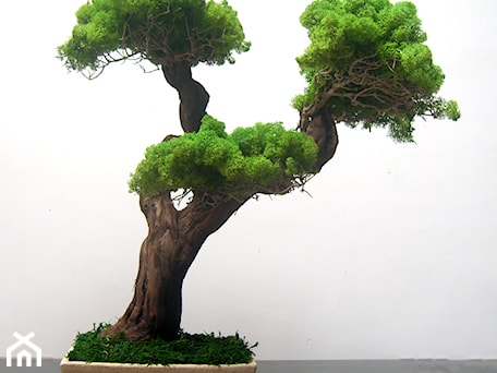 Aranżacje wnętrz - : Sztuczne drzewko bonsai - Ogrody Babilonu Patrycjusz Ścieszka. Przeglądaj, dodawaj i zapisuj najlepsze zdjęcia, pomysły i inspiracje designerskie. W bazie mamy już prawie milion fotografii!