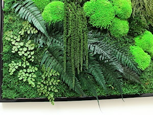 Obraz z mchu i roślin stabilizowanych 90/55 - zdjęcie od Ogrody Babilonu Patrycjusz Ścieszka