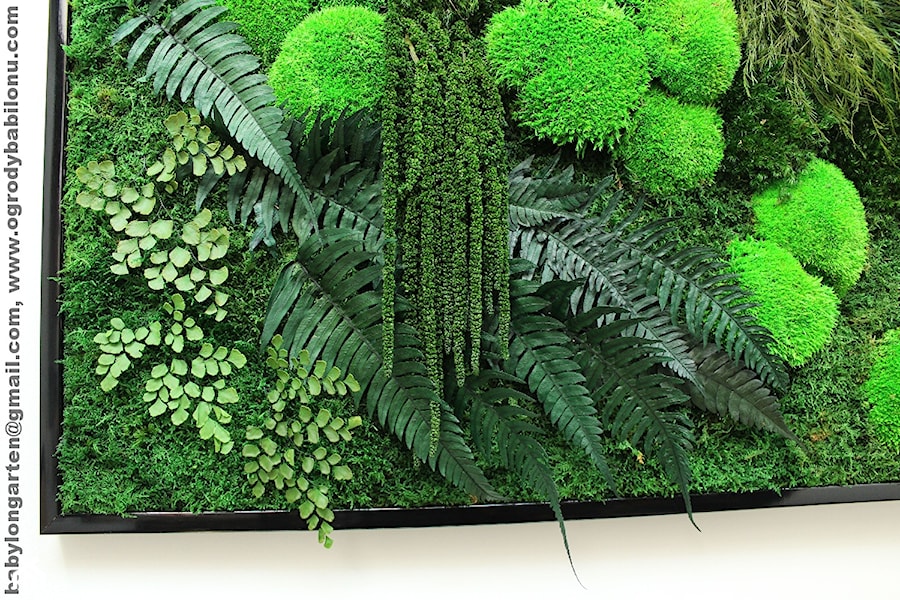 Obraz z mchu i roślin stabilizowanych 90/55 - zdjęcie od Ogrody Babilonu Patrycjusz Ścieszka