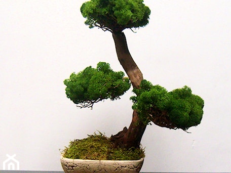 Aranżacje wnętrz - : Sztuczne drzewko bonsai - Ogrody Babilonu Patrycjusz Ścieszka. Przeglądaj, dodawaj i zapisuj najlepsze zdjęcia, pomysły i inspiracje designerskie. W bazie mamy już prawie milion fotografii!