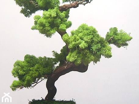 Aranżacje wnętrz - : Sztuczne drzewko bonsai - Ogrody Babilonu Patrycjusz Ścieszka. Przeglądaj, dodawaj i zapisuj najlepsze zdjęcia, pomysły i inspiracje designerskie. W bazie mamy już prawie milion fotografii!