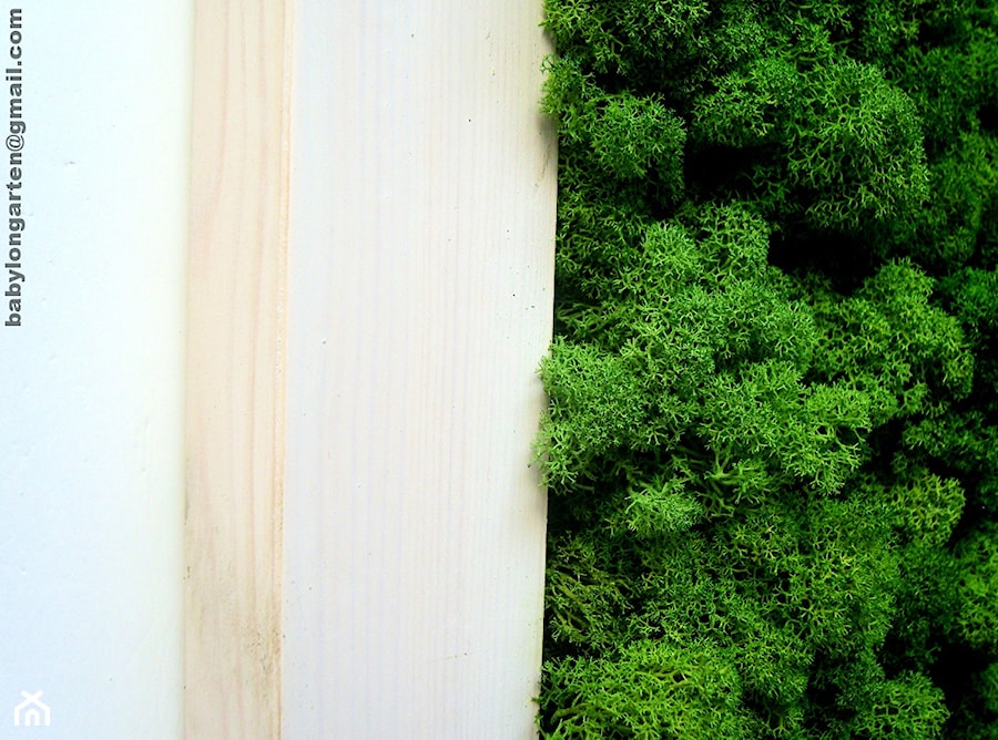 Obraz z mchu w ramie drewnianej 62/62 cm - zdjęcie od Ogrody Babilonu Patrycjusz Ścieszka