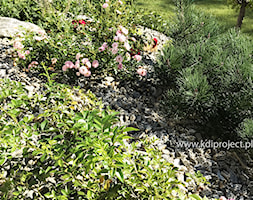 Ogród na skarpie - Ogród, styl tradycyjny - zdjęcie od kdiproject.pl - Homebook