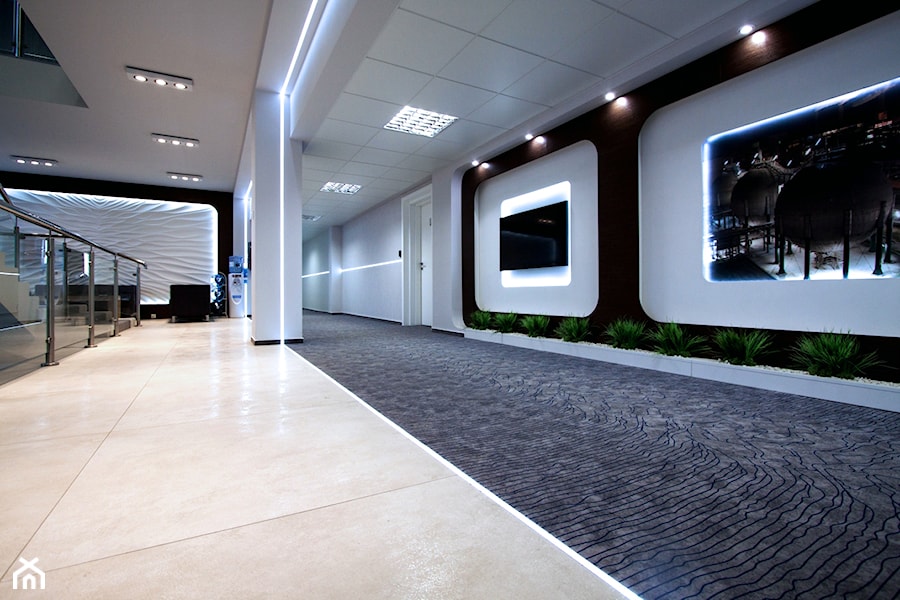 Powierzchnia biznesowa - hole, korytarze - zdjęcie od Pracownia Projektowania Wnętrz Małgorzata Czapla