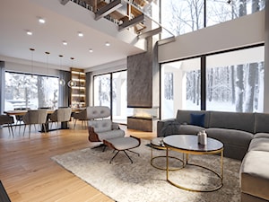 Projekt salonu w domu pod Krakowem - Salon, styl nowoczesny - zdjęcie od Artema Pracownia Architektury Wnętrz Agnieszka Krawczyk