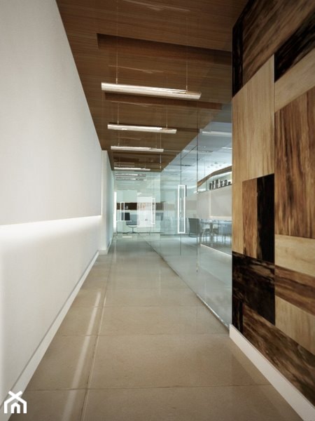 Wykończenie ścian korytarza w przestrzeni biurowej - zdjęcie od jms STUDIO s.c. - Homebook